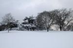 Brockwell Park in the Snow Series